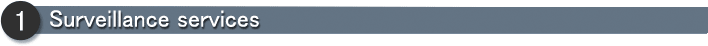 1.	Surveillance services